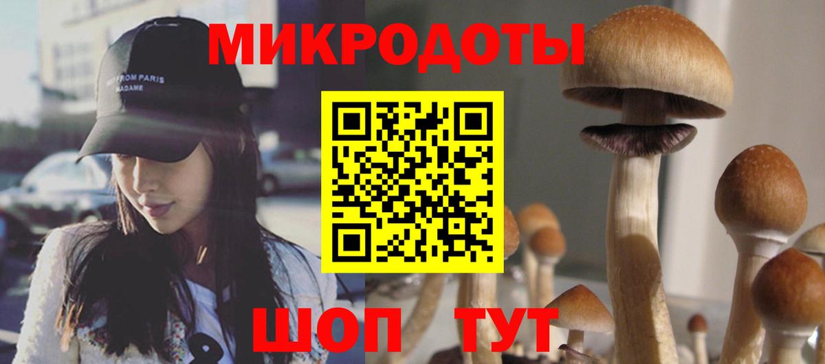 Псилоцибиновые грибы MAGIC MUSHROOMS  Вход с VPN  Псилоцибиновые грибы мухоморы  Севастополь 
